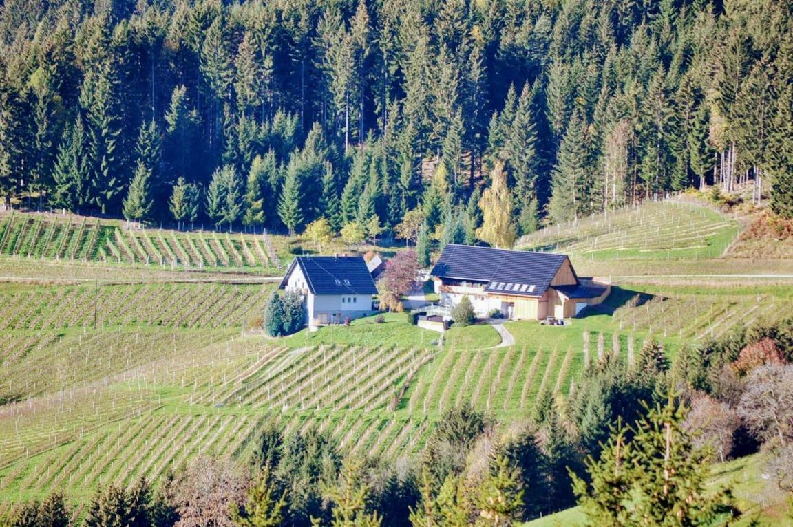 Ferienwohnung Kochs Beeren Oberfresen Zewnętrze zdjęcie